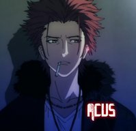 Acus