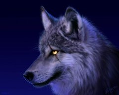 Azim